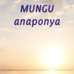 MUNGU anaponya