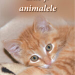 Isus și animalele
