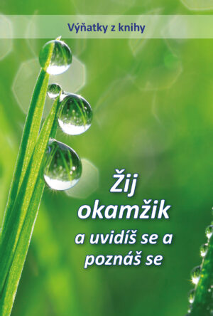 PDF - Žij okamžik a uvidíš se a poznáš se [Digital]