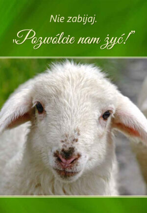 Nie zabijaj. „Pozwólcie nam żyć!”