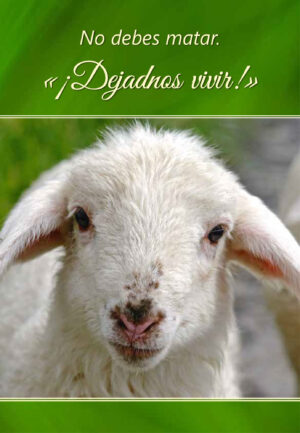 No debes matar. ¡Dejadnos vivir!